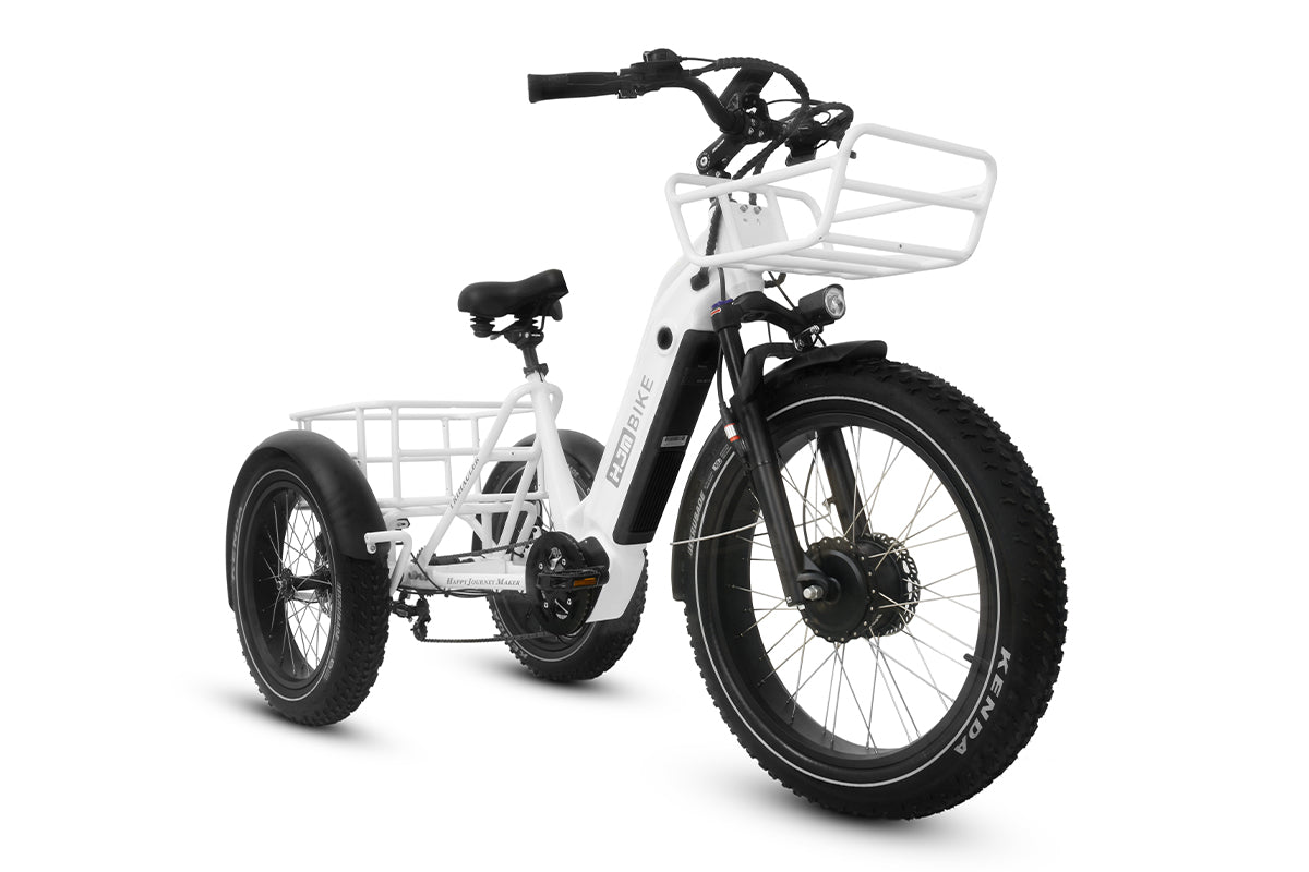 Cargo Fat Tire Etrike (Fully Assembled) - Image 4