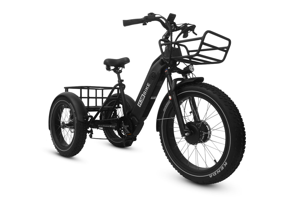 Cargo Fat Tire Etrike (Fully Assembled)