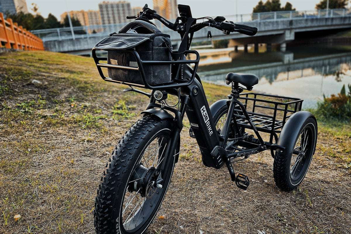 Cargo Fat Tire Etrike (Fully Assembled) - Image 8