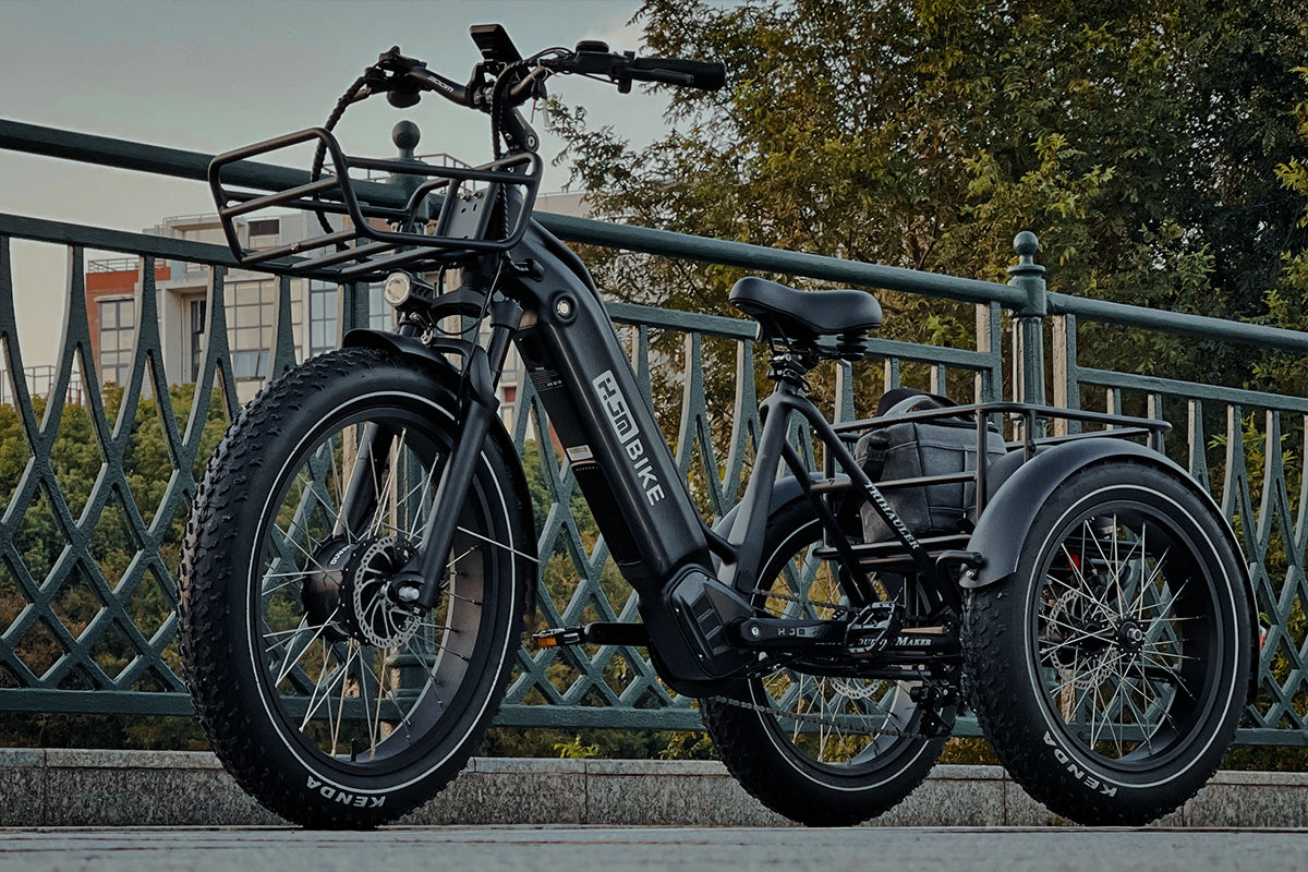 Cargo Fat Tire Etrike (Fully Assembled) - Image 10