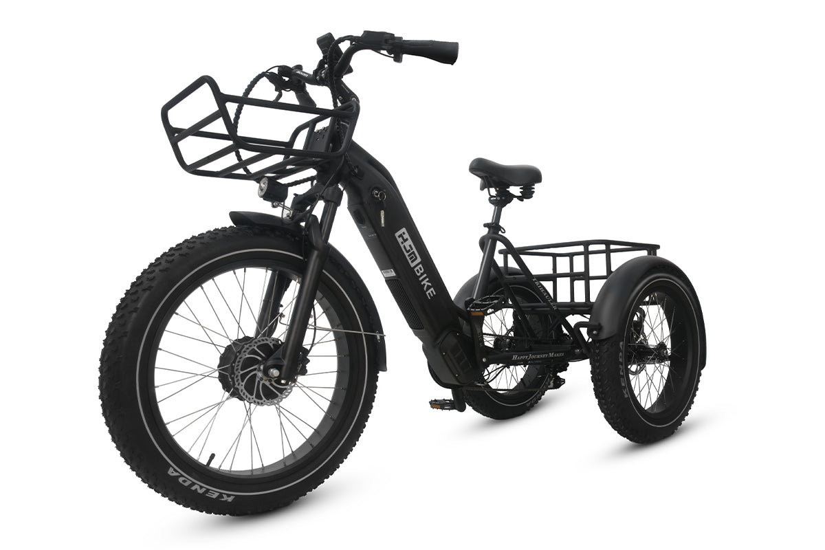 Cargo Fat Tire Etrike (Fully Assembled) - Image 9