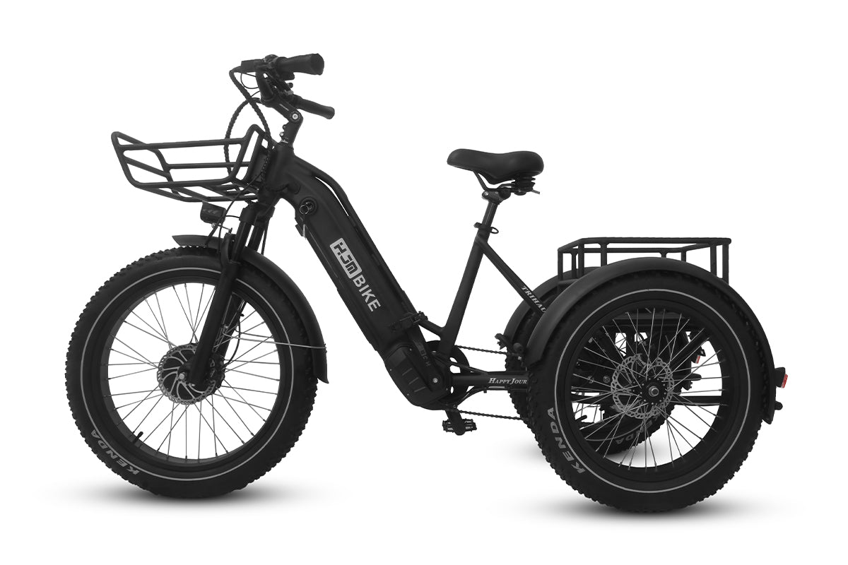 Cargo Fat Tire Etrike (Fully Assembled) - Image 11