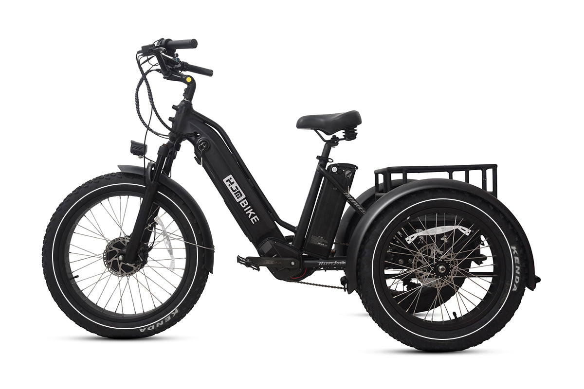 Cargo Fat Tire Etrike (Fully Assembled) - Image 3