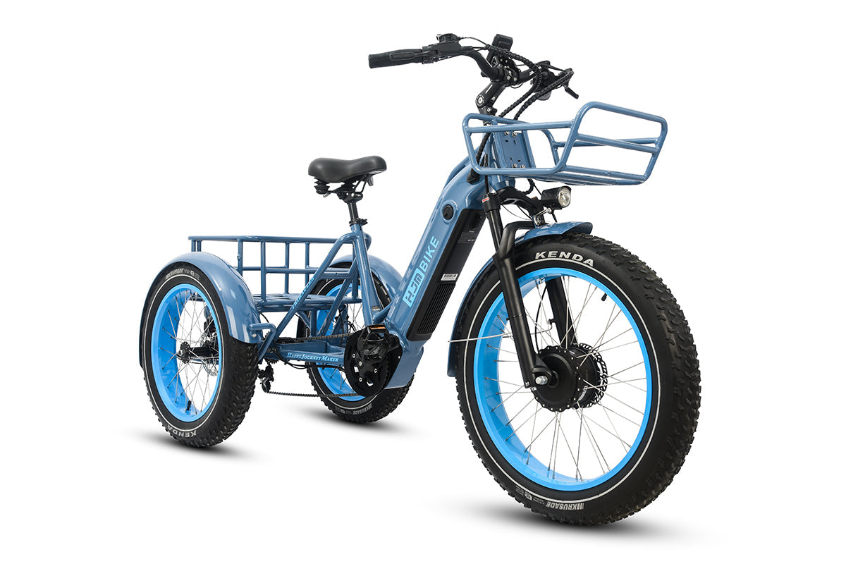 Cargo Fat Tire Etrike (Fully Assembled) - Image 5
