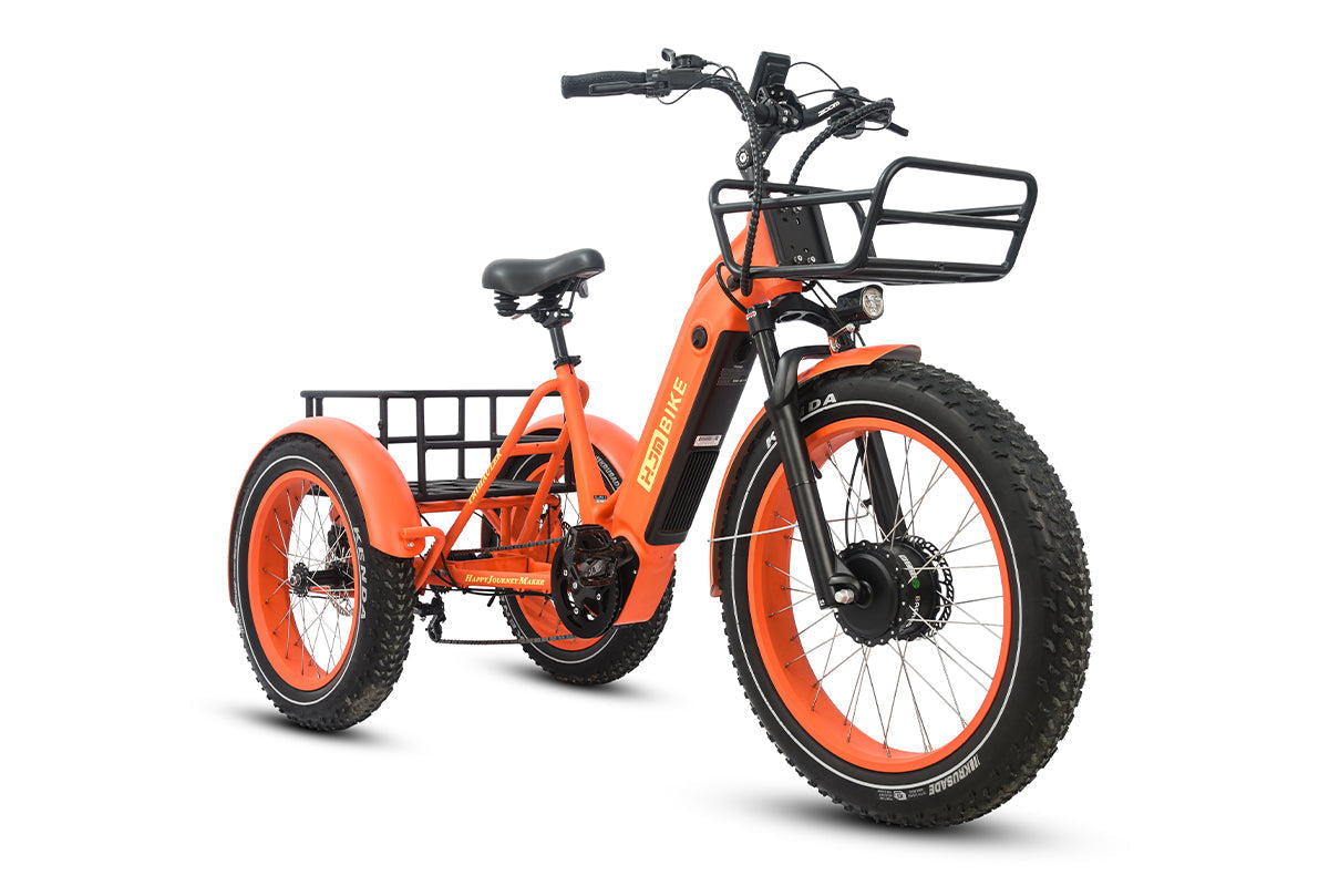 Cargo Fat Tire Etrike (Fully Assembled) - Image 6