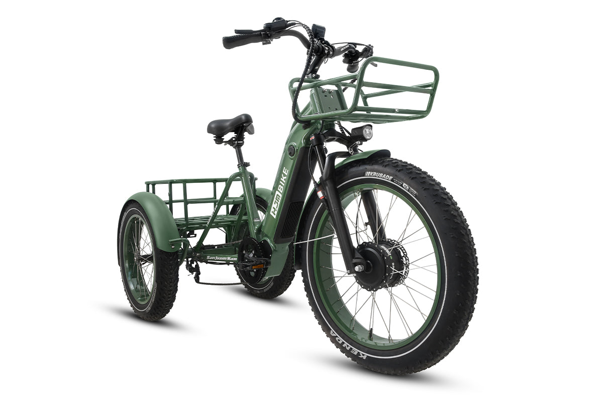 Cargo Fat Tire Etrike (Fully Assembled) - Image 7