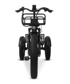 Alternative view of Cargo Fat Tire Etrike (Fully Assembled)